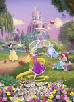 Mural Ref 4-4026 Princesas Disney